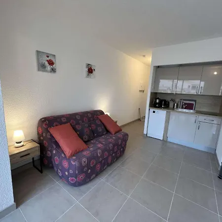 Studio Climatise 2 Pers, Lave-vaisselle, Centre-ville, Parking, Pres Commerces Et Plage - Fr-1-702-54 Agde